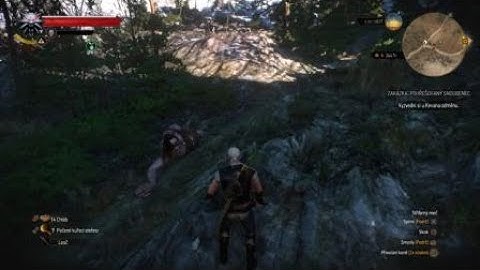 The Witcher 3: Wild Hunt - Cyclops Bug