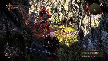 Witcher 2 Max Settings PC HD Combat Gameplay with Radeon 280x