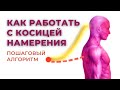 КОСИЦА НАМЕРЕНИЯ. Где находится и как с ней работать? Тафти жрица. Вадим Зеланд. Трансерфинг