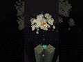 Beating the End Dragon #minecraft #minecraftsurvival #minecraftshorts