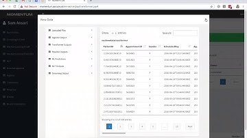 Getting Started with Momentum AI