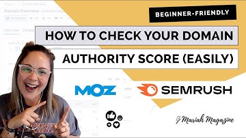 Website Domain Authority Explained: Check Your Domain Authority Score for Free