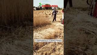 4 Stroke Gx35 Backpack Brush Cutter For Wheat Cutting #drizzle_india #7389079481 #7389588101 by Drizzle India 172 views 1 month ago 2 minutes, 6 seconds