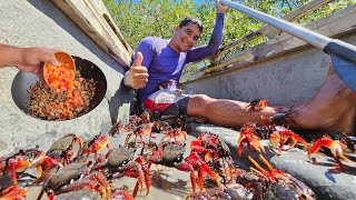 TANTOS ARATUS QUE ATÉ SUBIRAM EM MIM / The red crab/Catch and cook