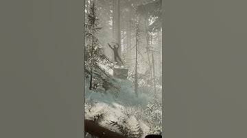 Thumbnail of Guitar, Virginia and... Shotgun?! - Sons of The Forest