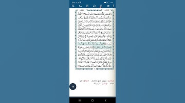 سورة النساء اية(١١١)