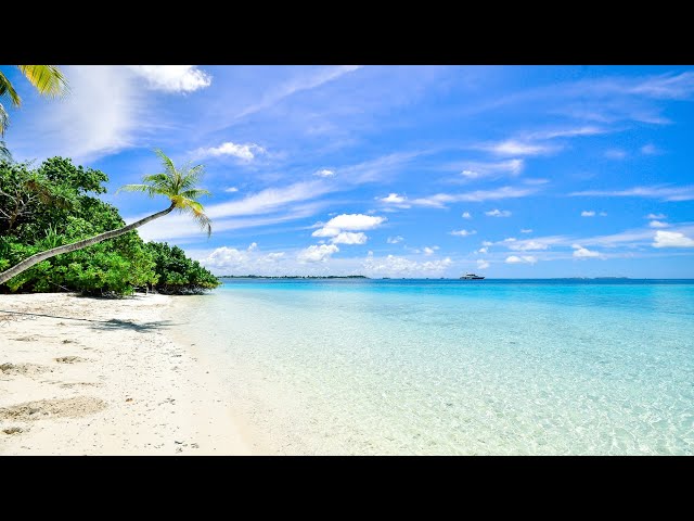 RELAXING SOUND OF WAVES - TROPICAL BEACH RELAXATION #RELAXATION #STRESSRELIEFMUSIC #MEDIATION class=