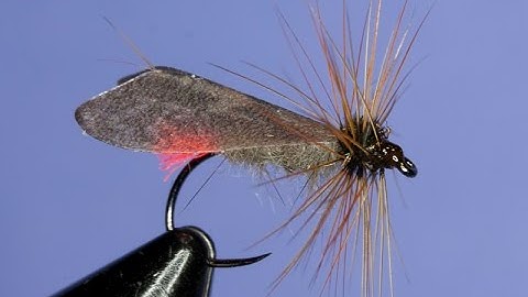 Fly tying - Hot Butt Caddis Fly