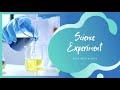 Acids bases  salts  science experiment  lets learn with nehal