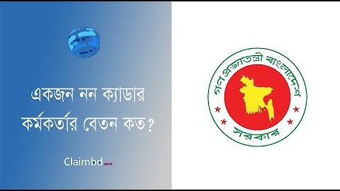 বিসিএস কর্মকর্তার বেতন স্কেল ২০২৩ । একজন নন ক্যাডারের বেতন কত?