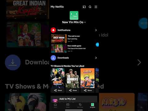How to lock Netflix Profile