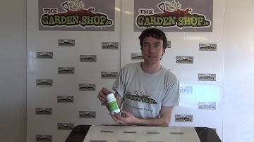 Pyrethrum Organic Insecticide