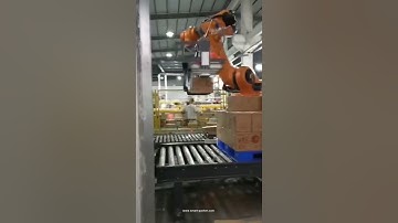 Robot hand heavy loading ability palletizing machine carton box palletizer equipment