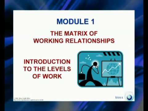 The Matrix of Working Relationships (MWR)