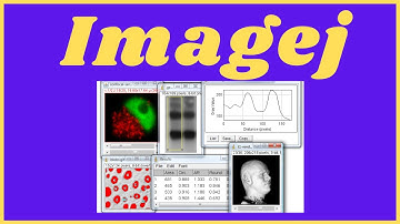 Step-by-Step Guide: How to Use ImageJ for Image Analysis