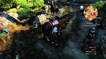The Witcher 3 Crazy Roach Glitch V.1.03