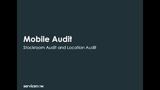 Demo - HAM Professional - Mobile Audit screenshot 4