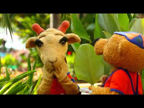 Lollo & Bernie