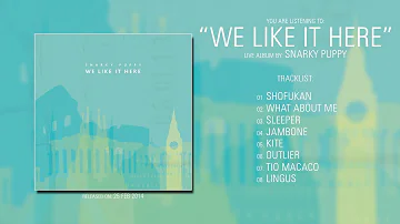 Snarky Puppy (Texas) - We Like It Here (2014) | Full Live Album