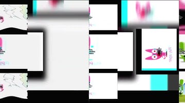 37 hoops and yoyo scan