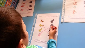 I&K Visual Discrimination Activity - Matching Pictures To Shadows