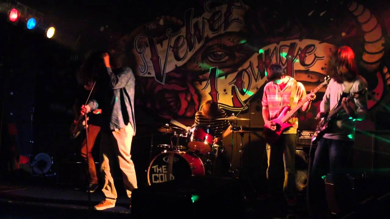 Aborted Tortoise - YouTube