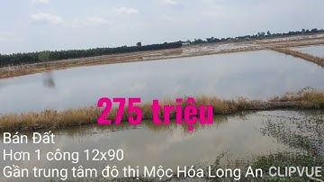 Bán hơn 1 công đất mà 275 triệu hết đất 12x90 tại huyện Mộc Hóa tỉnh Long An