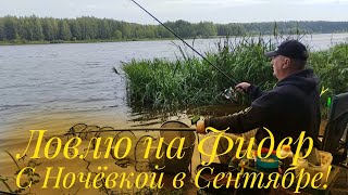 картинка: ТАМ ВСЯ РЫБА! ЗАБРОСИЛ В КОРЧИ И ПОШЁЛ КЛЁВ! НОВОЕ МЕСТО ПОРАДОВАЛО УЛОВОМ!