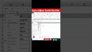 Excel में Serial Number Auto Adjustment || How to Auto Adjust Serial Number in Excel