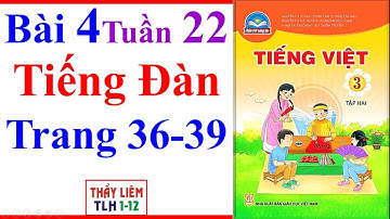 Tiếng Việt Lớp 3 Bài 4 Tuần 22 | Tiếng Đàn | Trang 36 - 39 | Chân Trời Sáng Tạo | Học Kì 2
