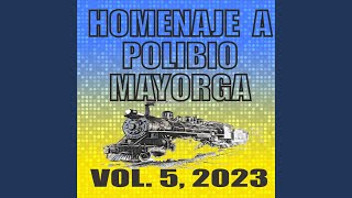 Miniatura de "La Nueva Orquesta Sonidera - Ferrocarril 2017"