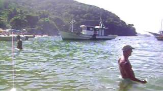 Video Caça e caçador Angra