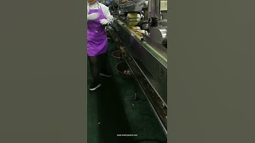 Automatic toast sandwich bread horizontal pillow type flow bag filling sealing packaging machine