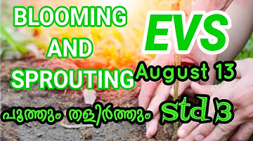 Std 3 EVS kite victers online class supportive video