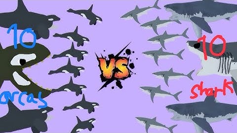 10 orcas vs 10 sharks (killer whales vs great white sharks) | sticknodes animation | who will win