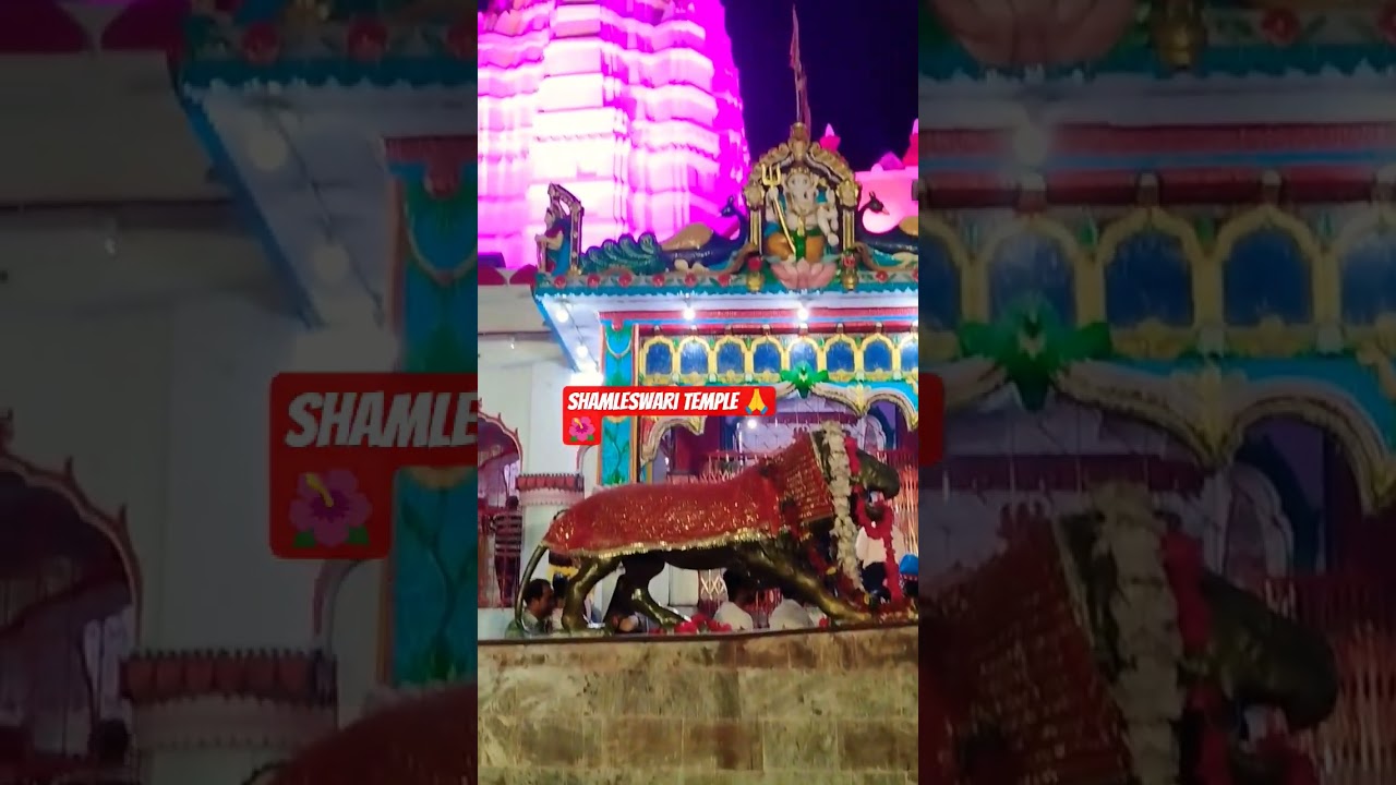 Dulari mayariya# maa samleshwari temple 🙏🌺🙏🌺#subscribe #song #bhojpuri #bhojpurisong #trending#viral