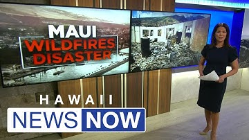 Researchers: Disinformation campaign spread after wildfires made disaster response more difficult