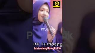 Download Lagu Umi Laila - Turi Putih #shorts #sholawat #sholawatan MP3
