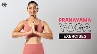 Pranayama Yoga | Yoga Routine | Yoga At Home | Yoga Routine For Beginners | @cult.official