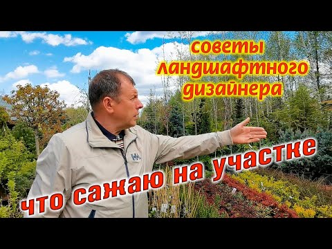 Видео: Хорошие деревья для ландшафта