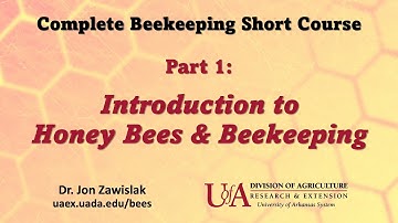 Part 1: Intro to Beekeeping