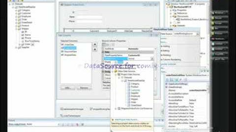 Video Clip - How to Make a Bound .NET WinForm with SubForm