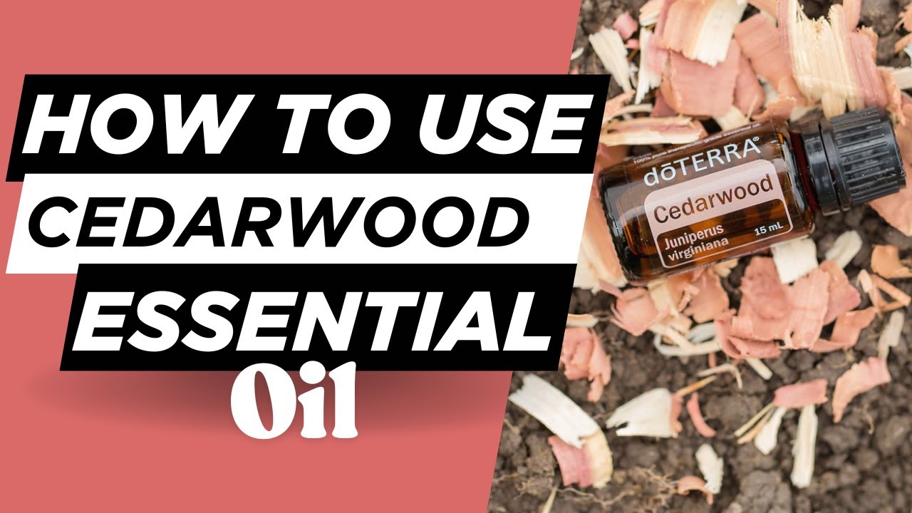 Cedarwood Essential Oil - How to Use It - YouTube