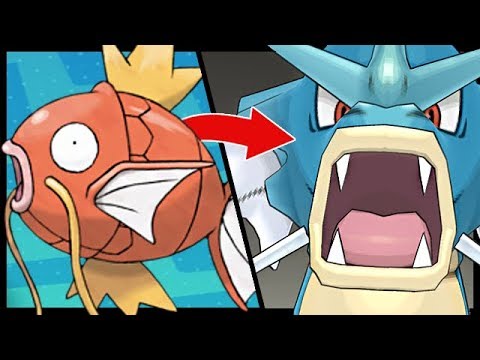 וִידֵאוֹ: למה מתפתח gyarados?