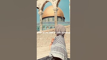 | قرآن كريم راحة نفسية | 🌼💛 اللهم انصر اهلنا في فلسطين وغزة 🇵🇸✌🏻#قرآن #فلسطين_حرة #راحة_نفسيه
