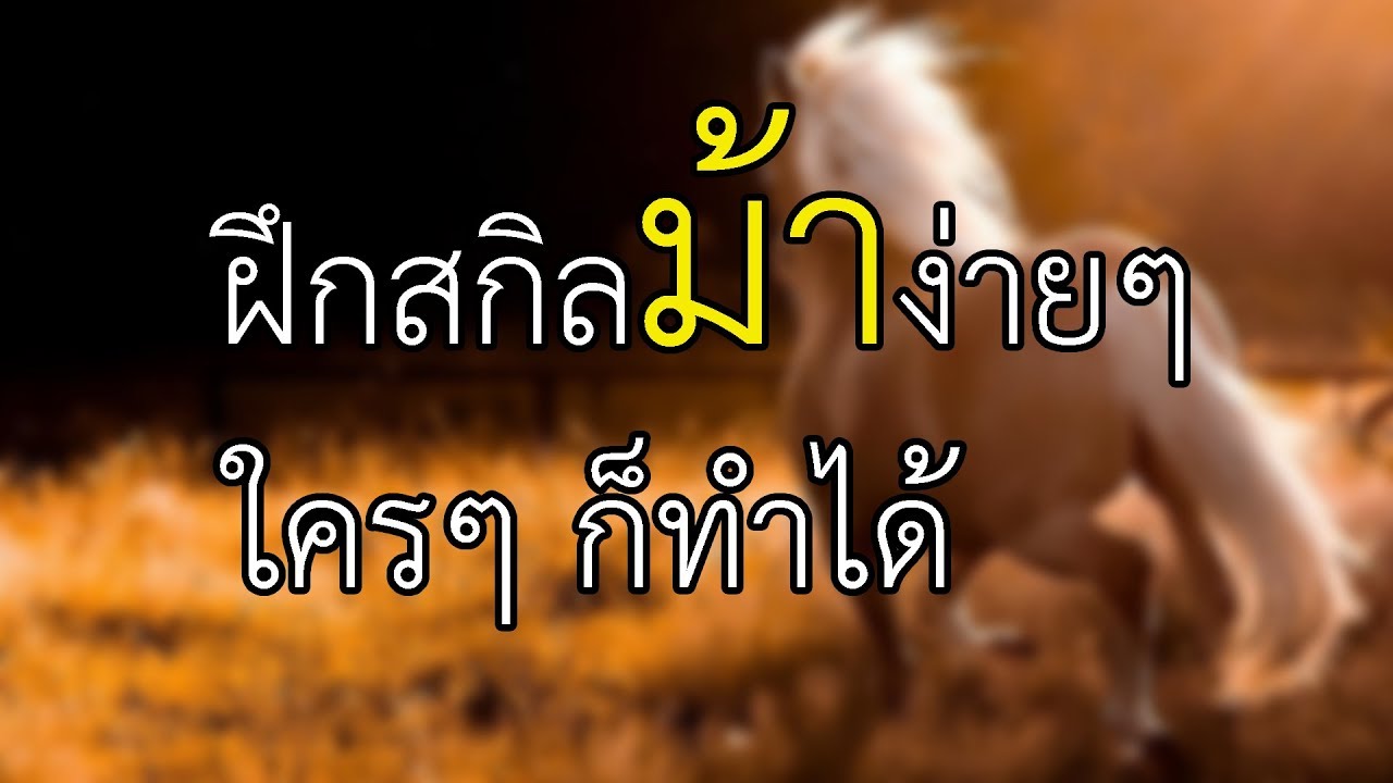 bdo ฝึกสกิลม้า New Update ฝึกสกิล ม้า ง่ายๆ ใครๆ ก็ทำได้ | Black Desert Thailand
