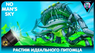 картинка: No Man's Sky | Растим идеального питомца | Companions | Гайд