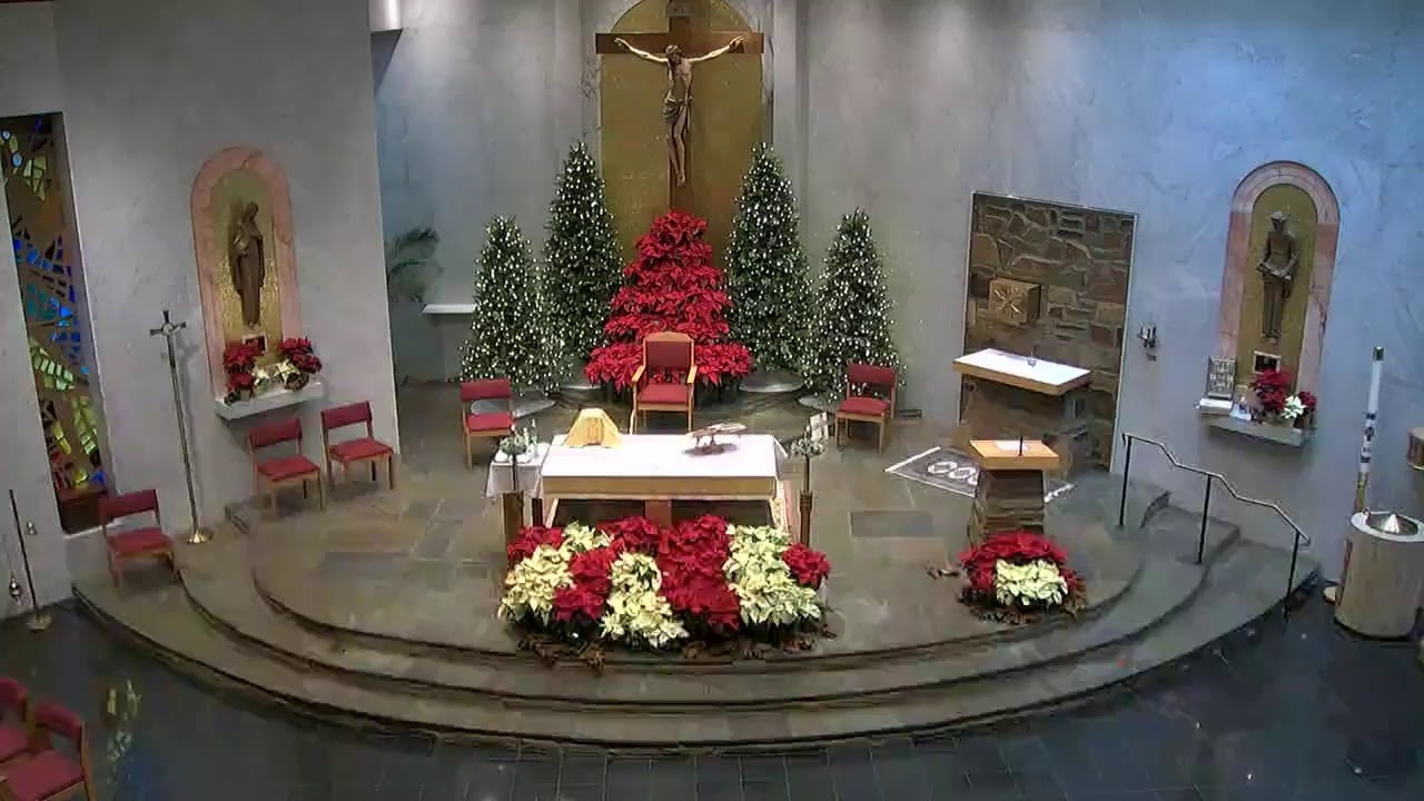 Nativity Live Stream 1100 Sunday Mass January 3, 2021 YouTube