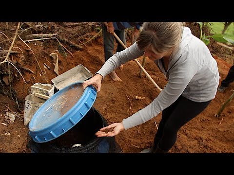 Vídeo: Vermicultura: Crescimento De Vermes Em Casa