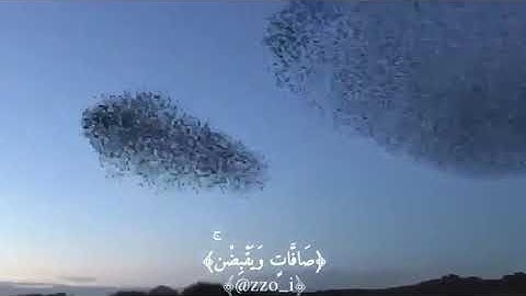 "اولم يروا الي الطير فوقهم صافات" للقارئ مشاري راشد تلاوه تشرح الصدر